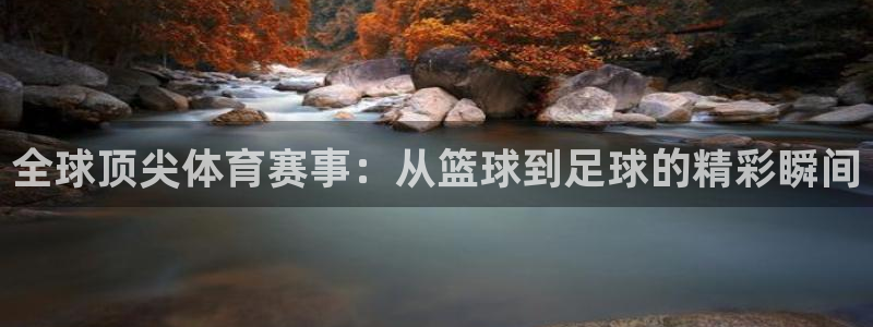 双赢平台体育官网：全球顶尖体育赛事：从篮球到足球的精彩瞬间