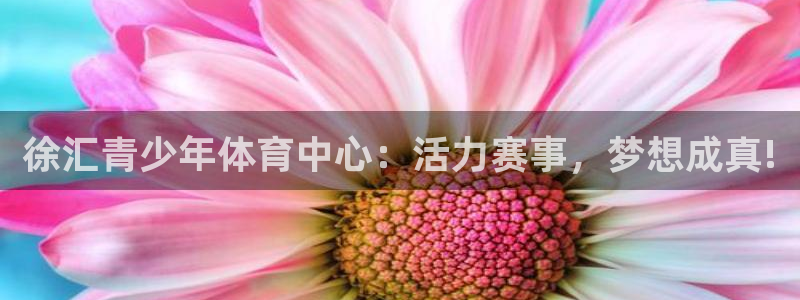 双赢平台体育：徐汇青少年体育中心：活力赛事，梦想成真!