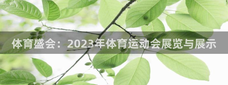 双赢平台注册：体育盛会：2023年体育运动会展览与展示