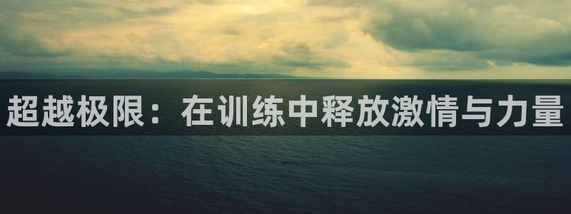 双赢平台招商：超越极限：在训练中释放激情与力量