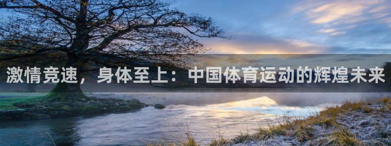 双赢平台代理注册官网入口：激情竞速，身体至上：中国体育运动的辉煌未来