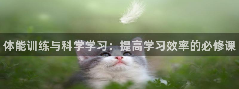 意昂集团股票：体能训练与科学学习：提高学习效率的必修课