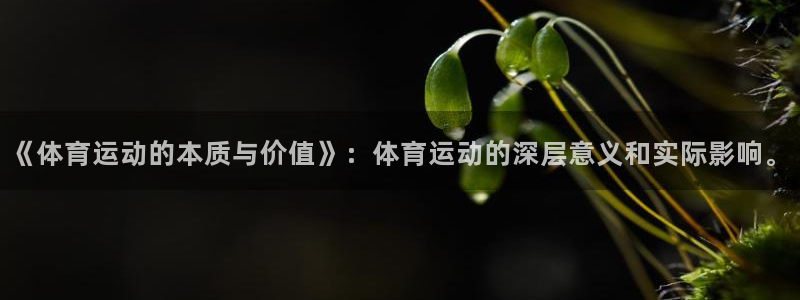 双赢平台平台：《体育运动的本质与价值》：体育运动的深层意义和实际影响。