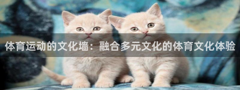 意昂平台：体育运动的文化墙：融合多元文化的体育文化体验