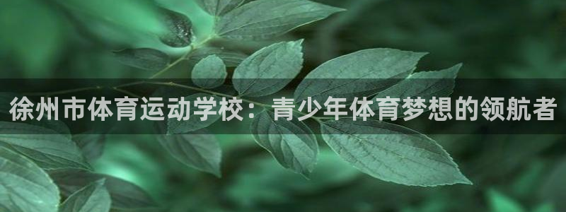 意昂3：徐州市体育运动学校：青少年体育梦想的领航者
