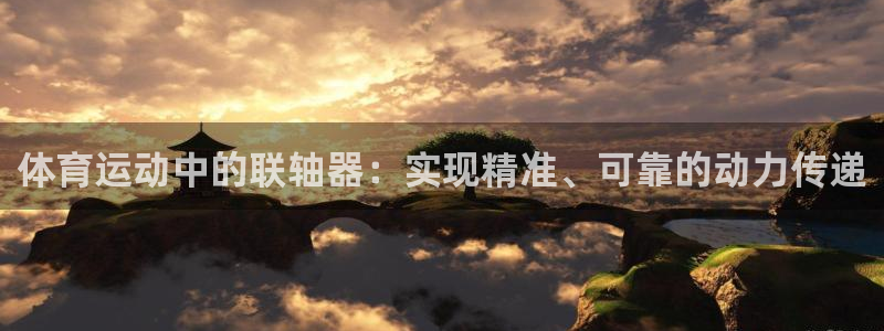 双赢平台集团官网：体育运动中的联轴器：实现精准、可靠的动力传递