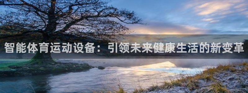 意昂体育2：智能体育运动设备：引领未来健康生活的新变革
